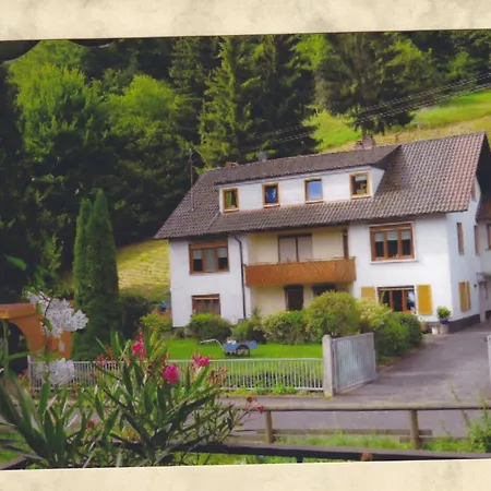 Fewo-Monteurwohnung Steger Apartment Frammersbach